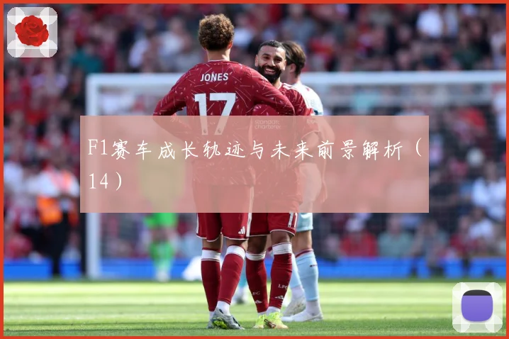 F1赛车成长轨迹与未来前景解析（14）