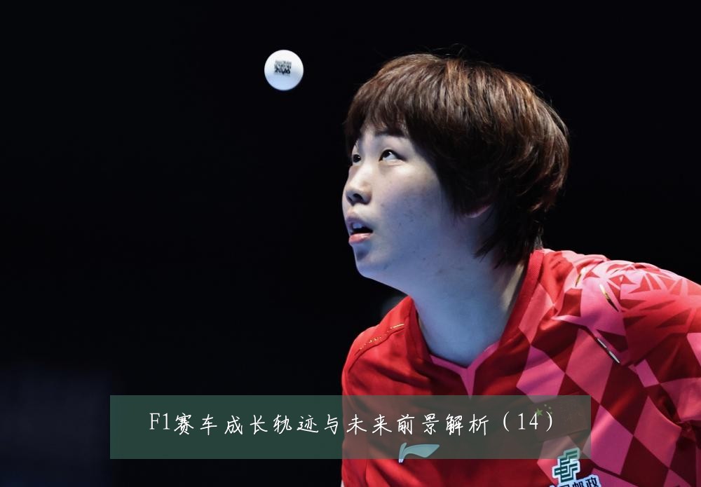 F1赛车成长轨迹与未来前景解析（14）