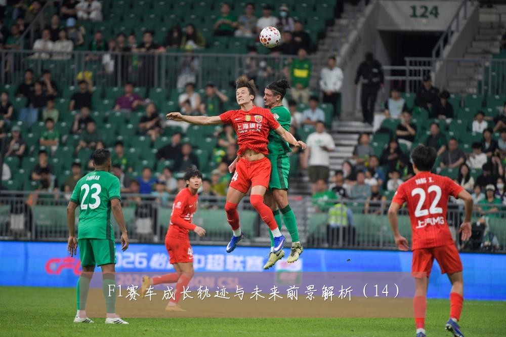 F1赛车成长轨迹与未来前景解析（14）